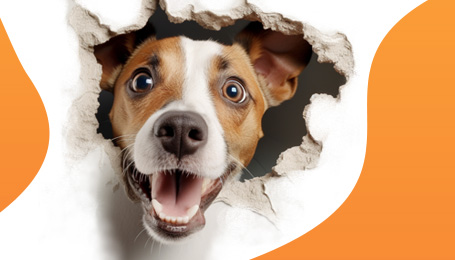 Neplanuotos išlaidos namams