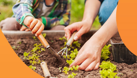 Kada palankios dienos sodinti?