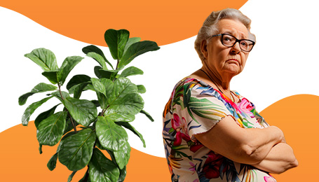 Pigiau, nei nuomotis pas bobutę? 3 patarimai mažesnėms kelionių išlaidoms!